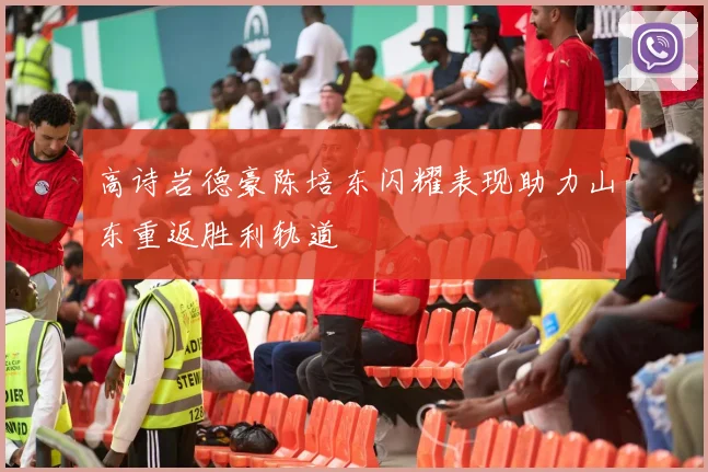 高诗岩德豪陈培东闪耀表现助力山东重返胜利轨道